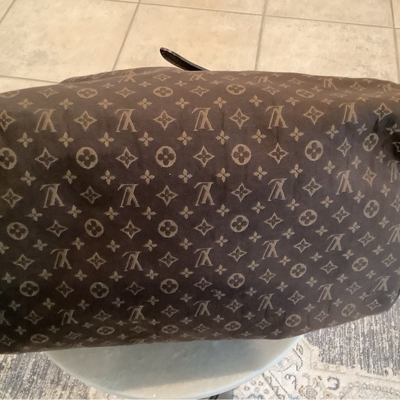 Louis Vuitton Mini Lin Speedy 12 x 9 - Picture 4 of 16